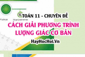 Cách giải phương trình lượng giác cơ bản và Bài tập vận dụng - Toán 11 chuyên đề